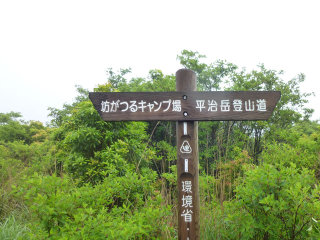 d0126573_2174887.jpg