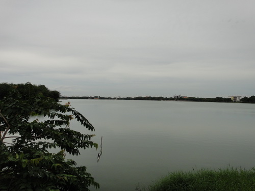 a0002177_1383022.jpg