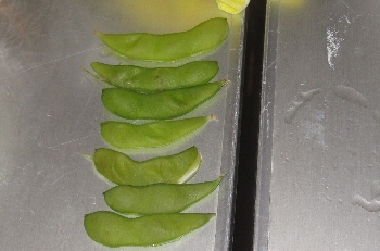 f0003283_174855.jpg