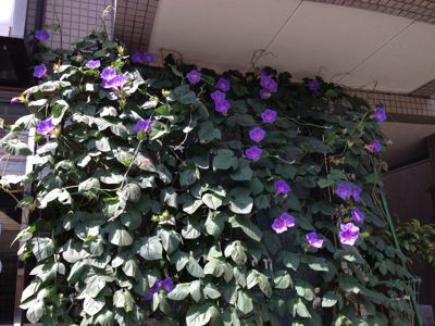 b0062687_8175675.jpg