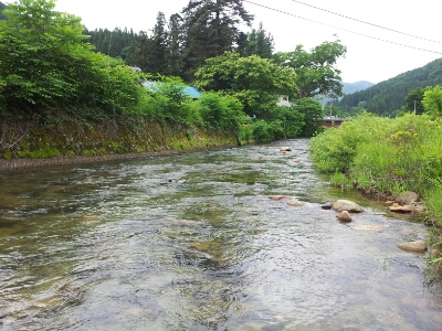 b0233990_20192379.jpg