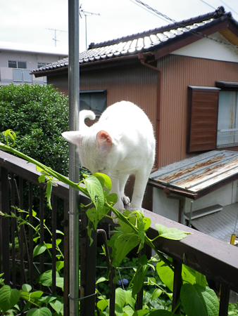 f0239100_22251320.jpg