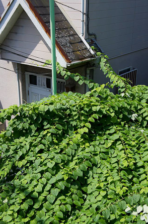 f0239100_234297.jpg