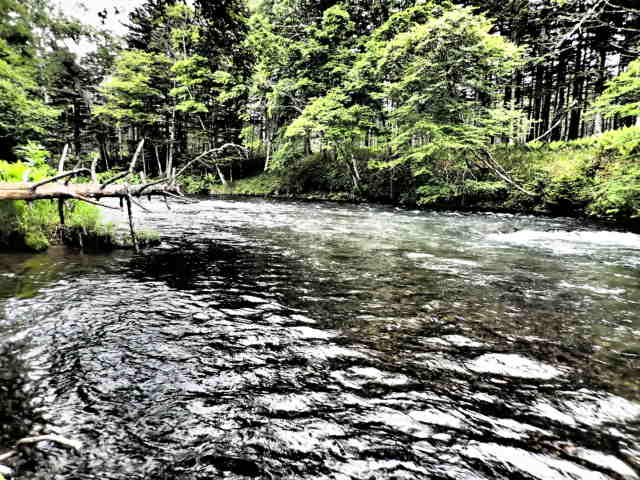 d0257201_4152174.jpg