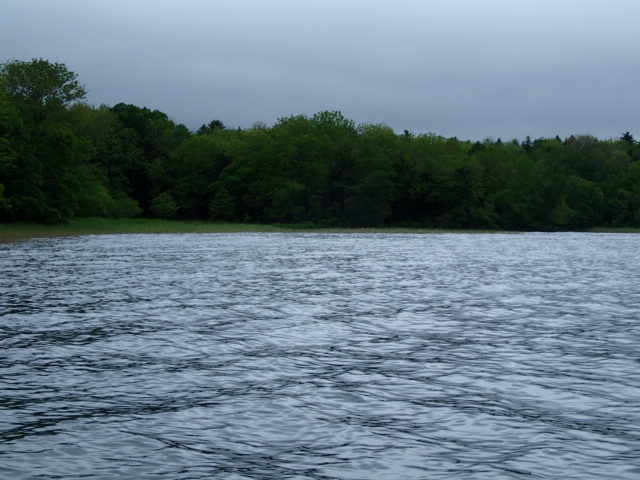 d0257201_481260.jpg