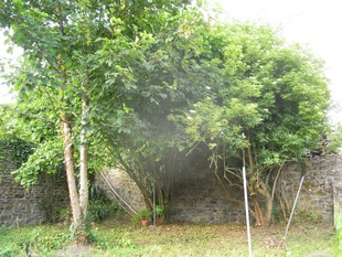 e0206902_1963598.jpg