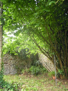 e0206902_1993069.jpg