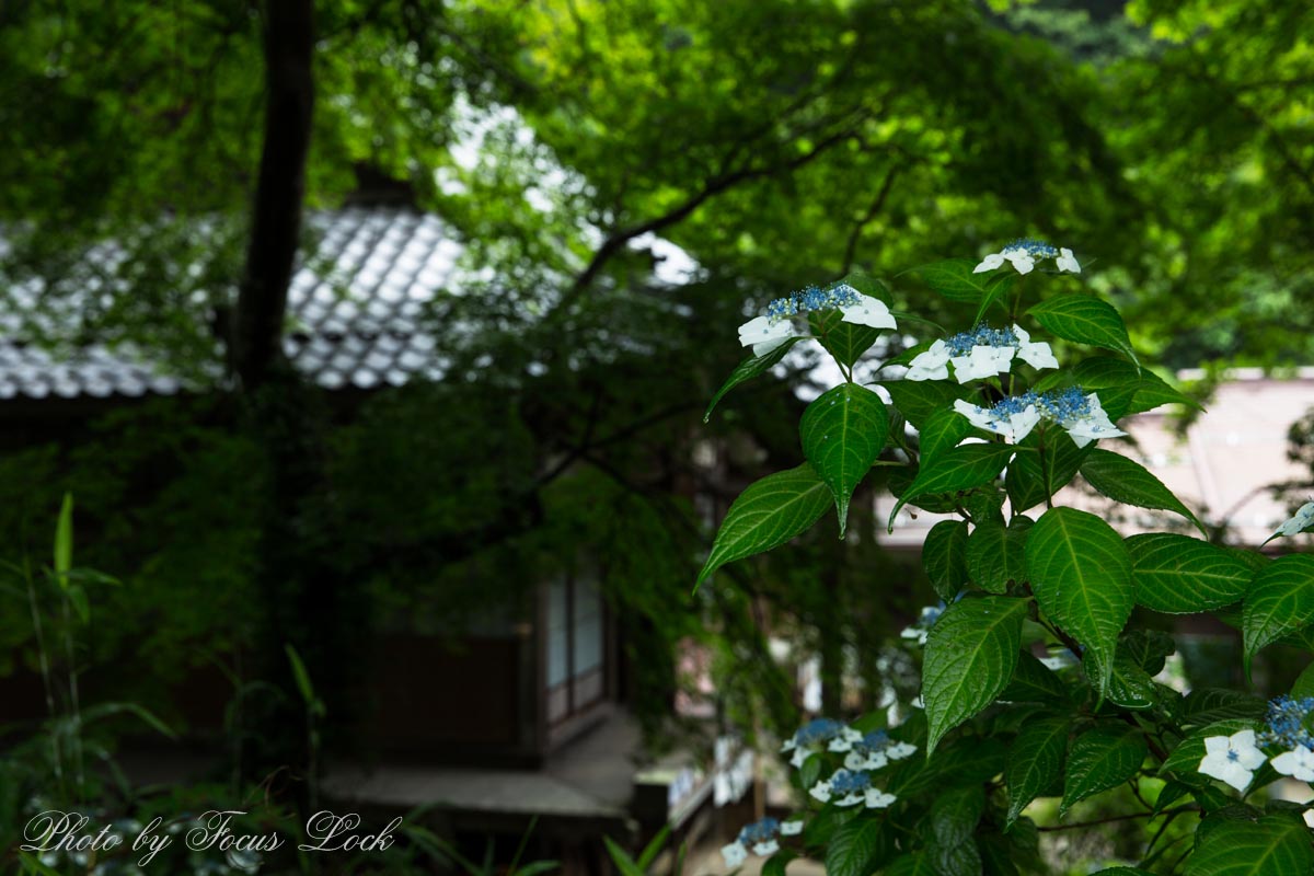 f0220502_20141563.jpg