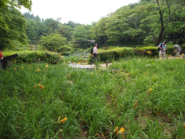 a0139105_0452061.jpg