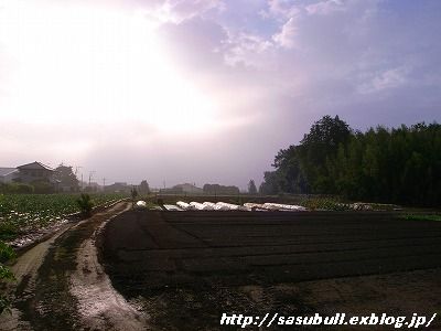 e0145805_18503240.jpg
