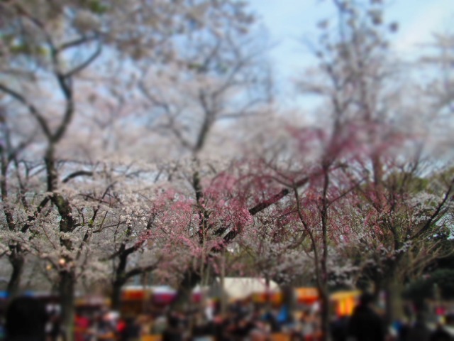 f0039907_16125491.jpg