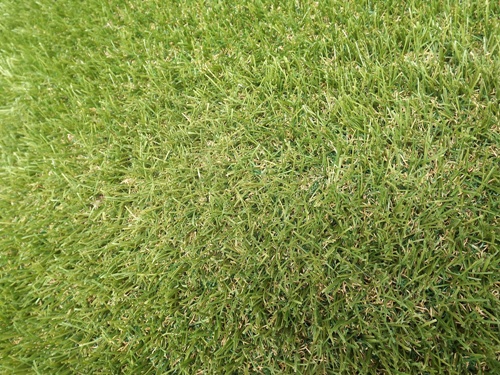 c0158916_9514832.jpg
