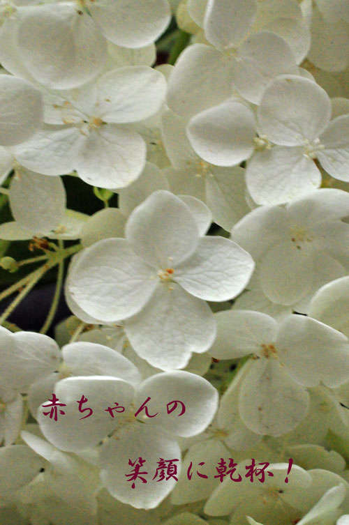 e0312121_0313363.jpg