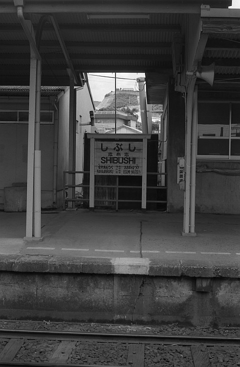 f0203926_235004.jpg