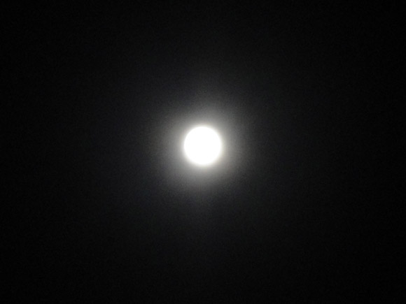 e0037129_8485046.jpg