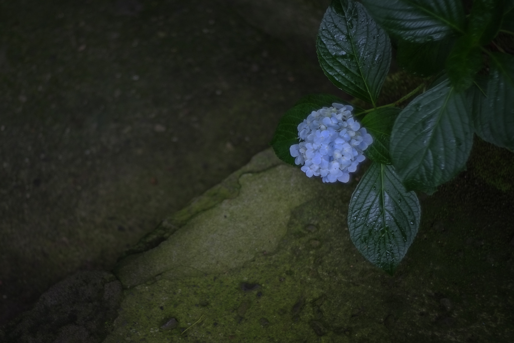 d0004832_19141744.jpg