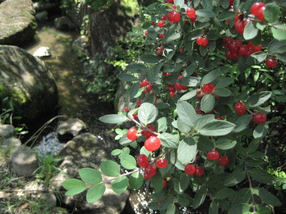 f0247039_11321227.jpg