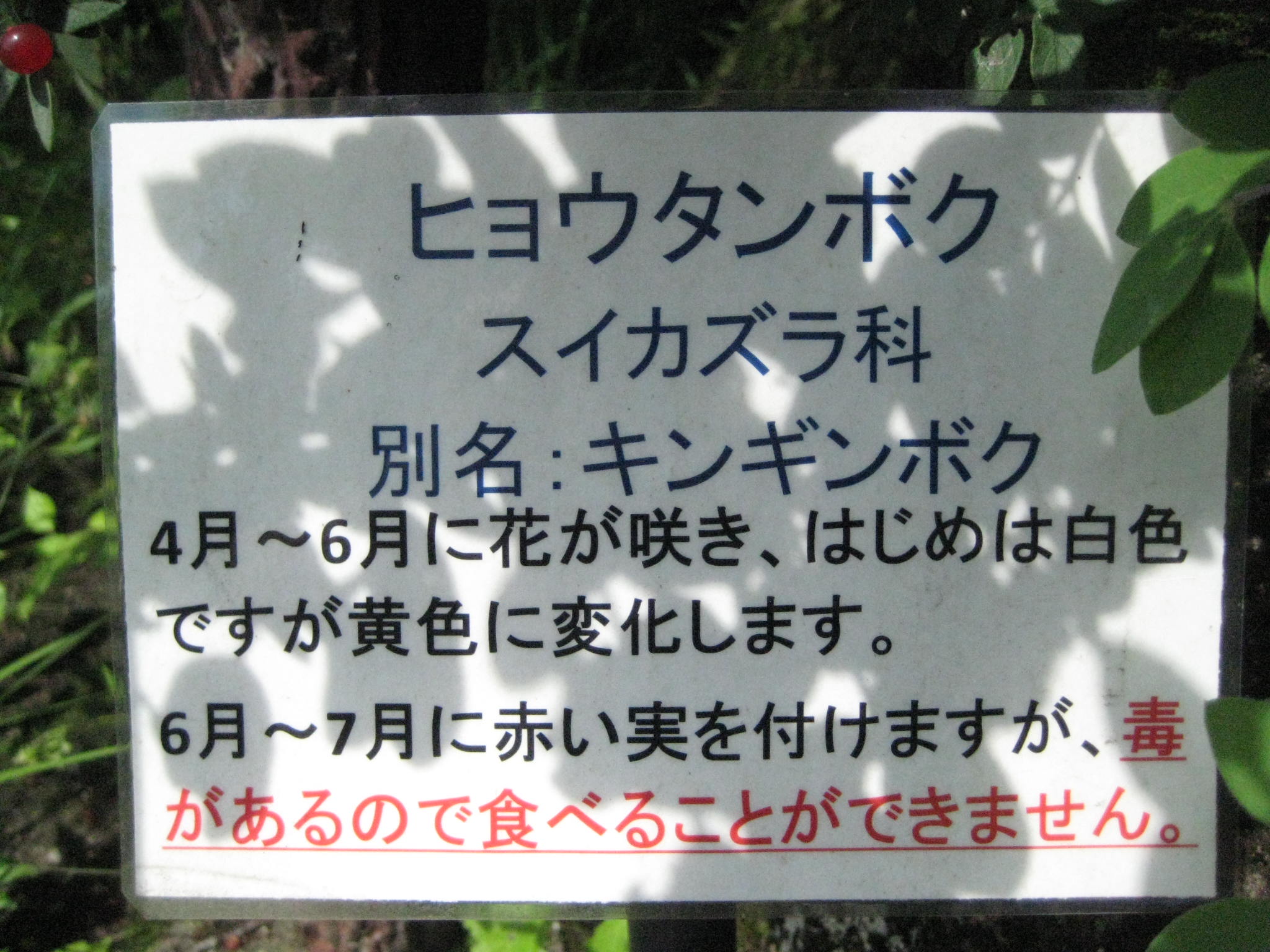 f0247039_1135219.jpg