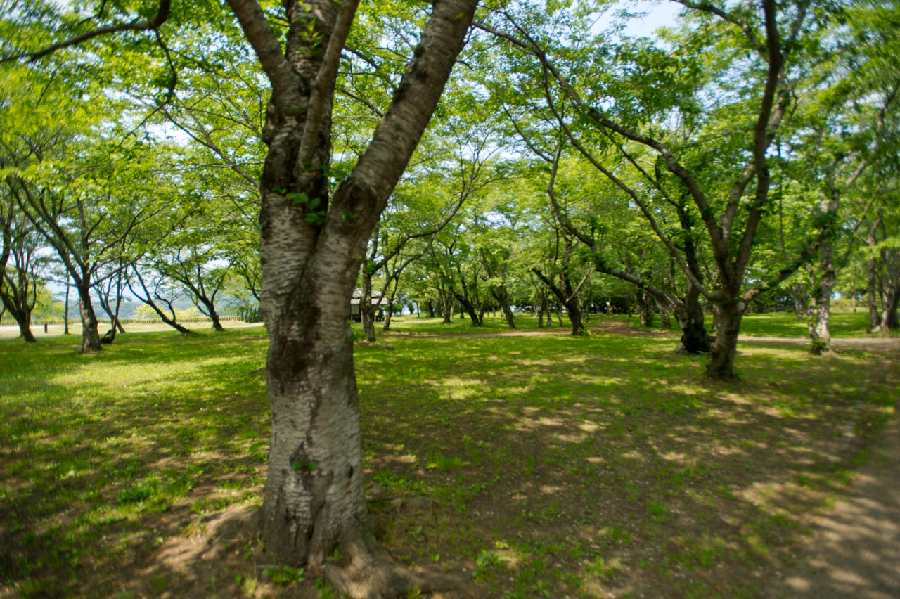 b0023047_3593174.jpg