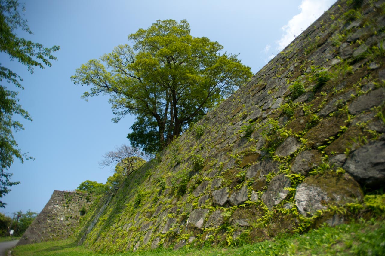b0023047_463088.jpg