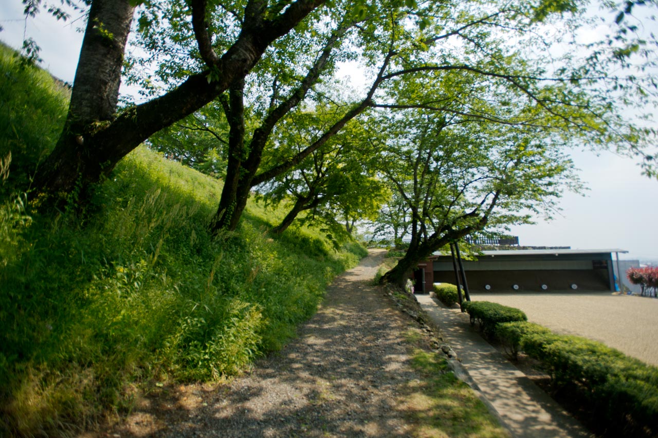 b0023047_465679.jpg