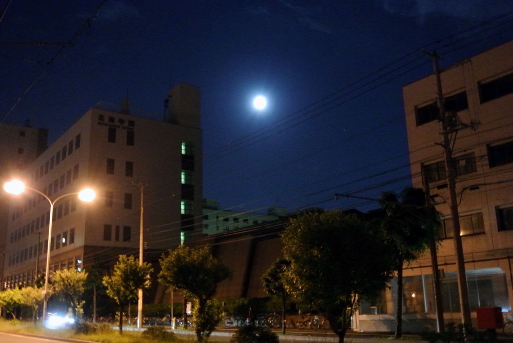 c0105249_13455256.jpg