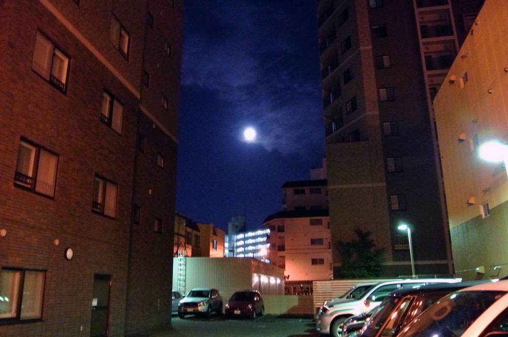 c0105249_13461032.jpg