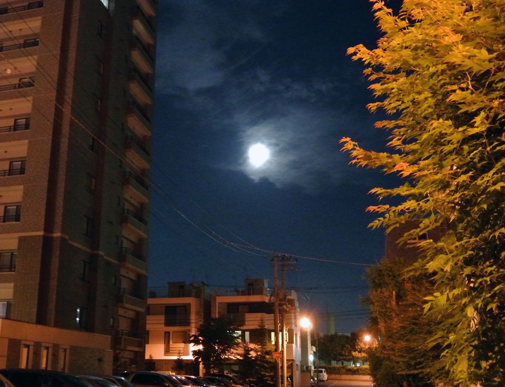 c0105249_13461795.jpg