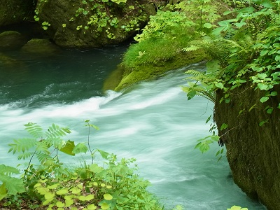 a0251851_144933.jpg