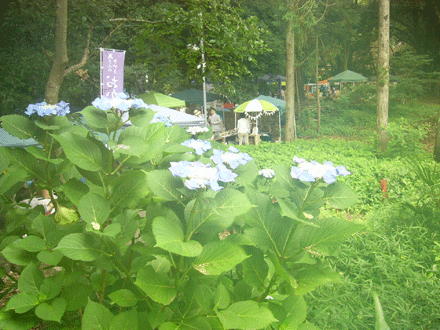 c0225153_19372129.gif