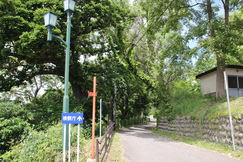 b0250154_23123542.jpg