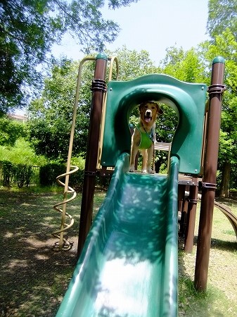 c0097558_0563793.jpg