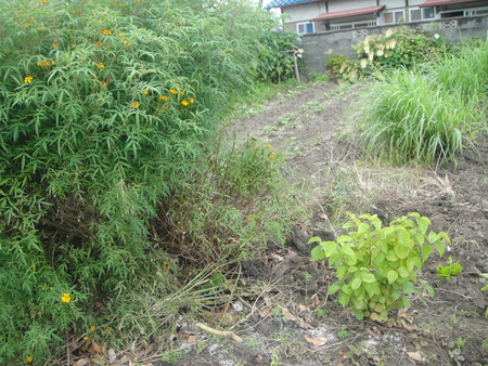 c0108460_2132579.jpg