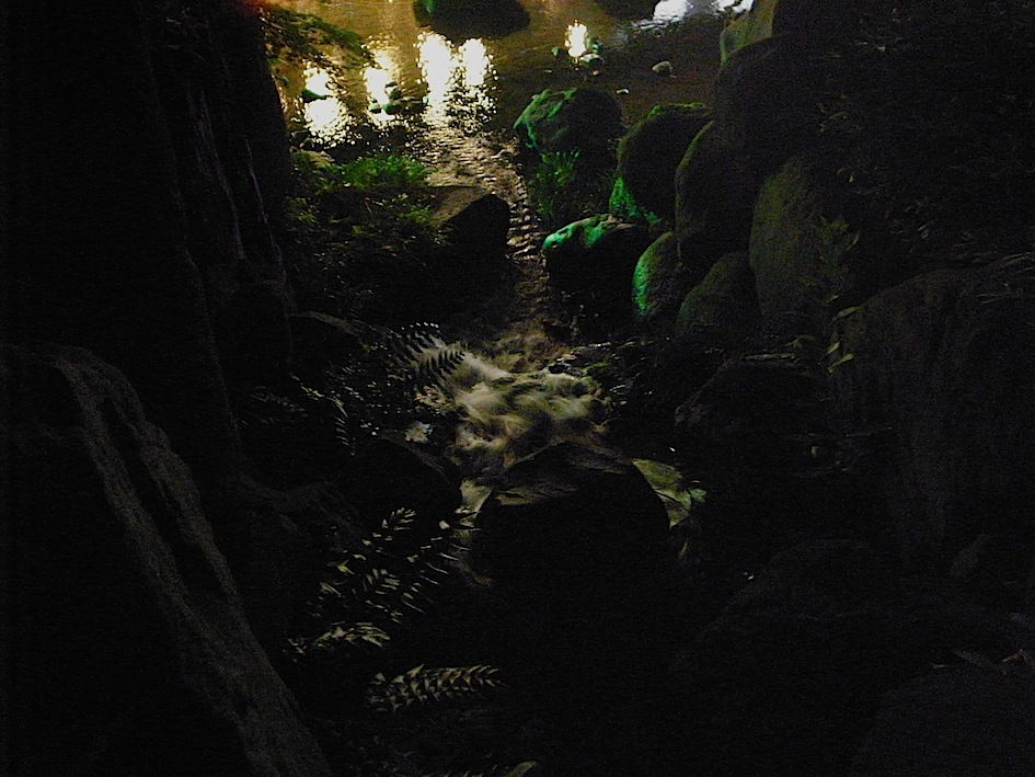 f0134963_7515486.jpg