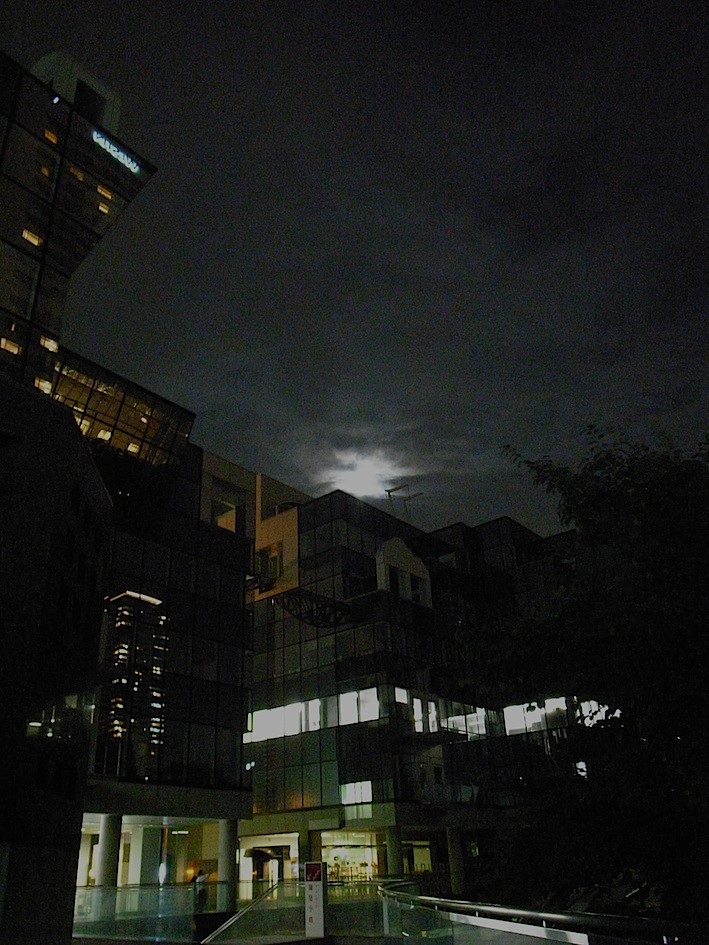 f0134963_8245010.jpg