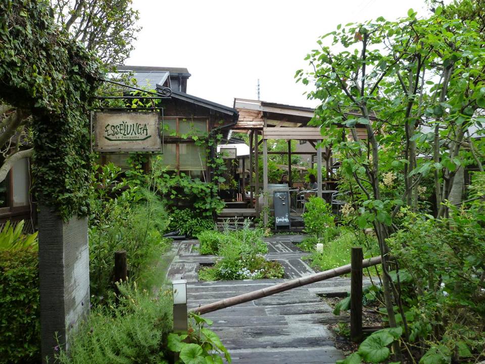 c0100865_0305975.jpg