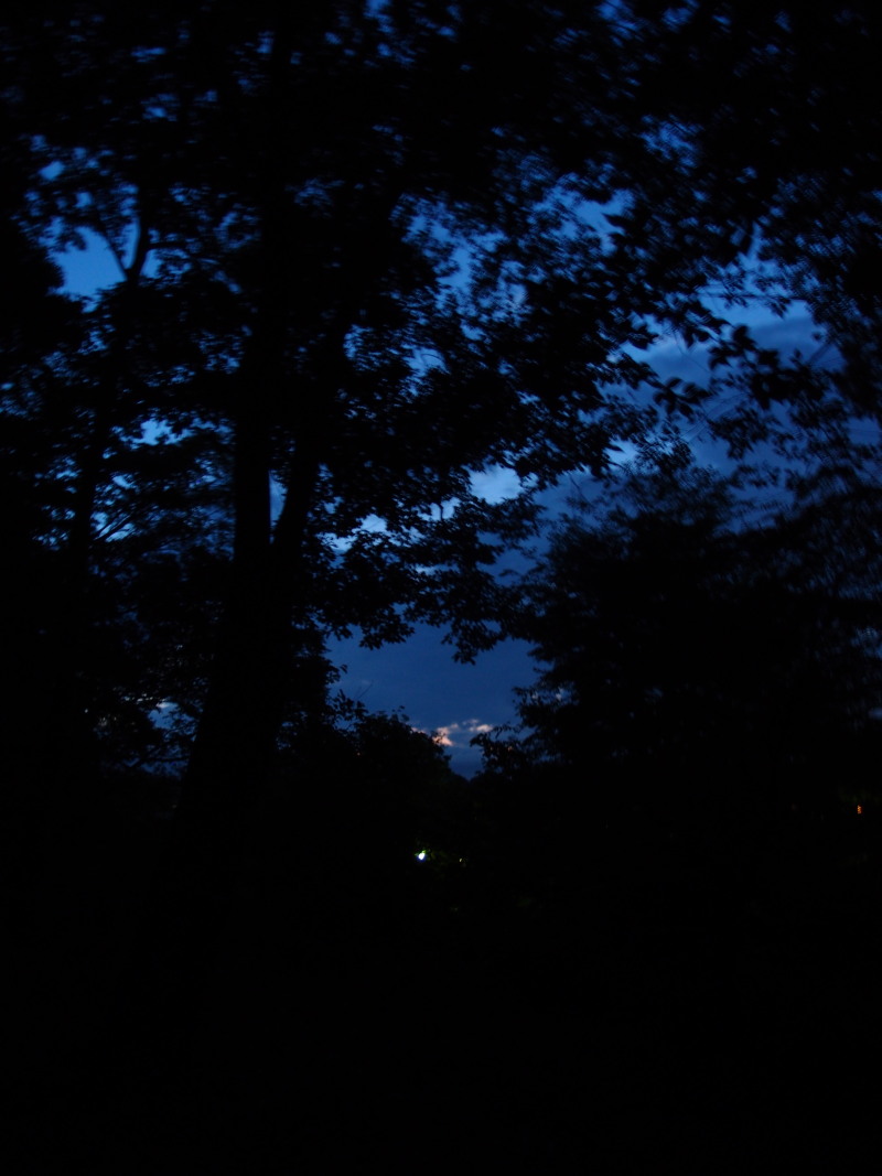 c0122670_213921100.jpg