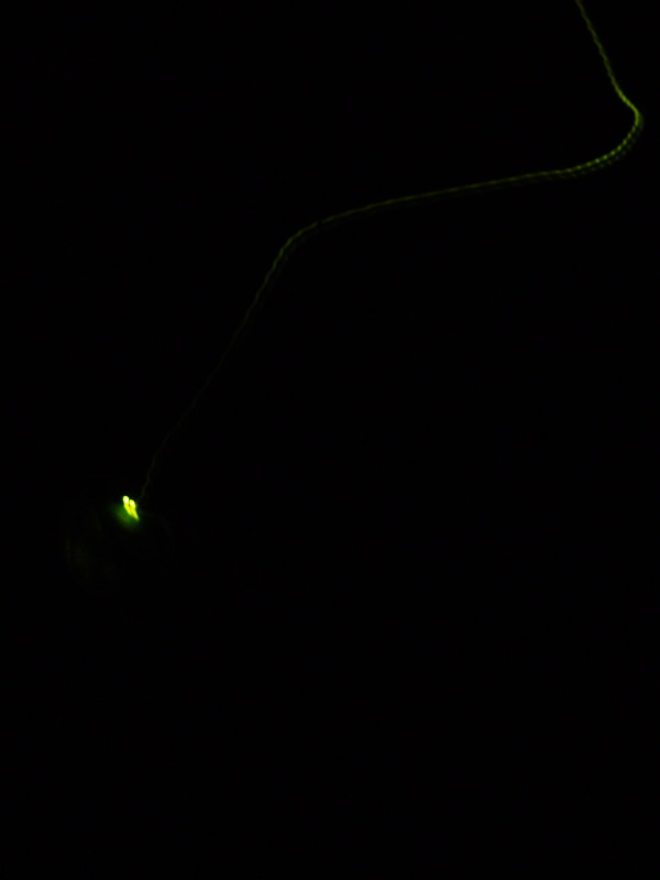 c0122670_21401413.jpg