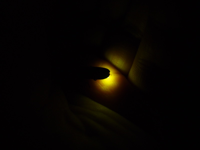 c0122670_21411280.jpg