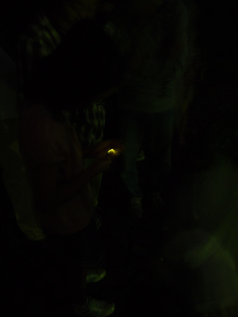 c0122670_2143350.jpg