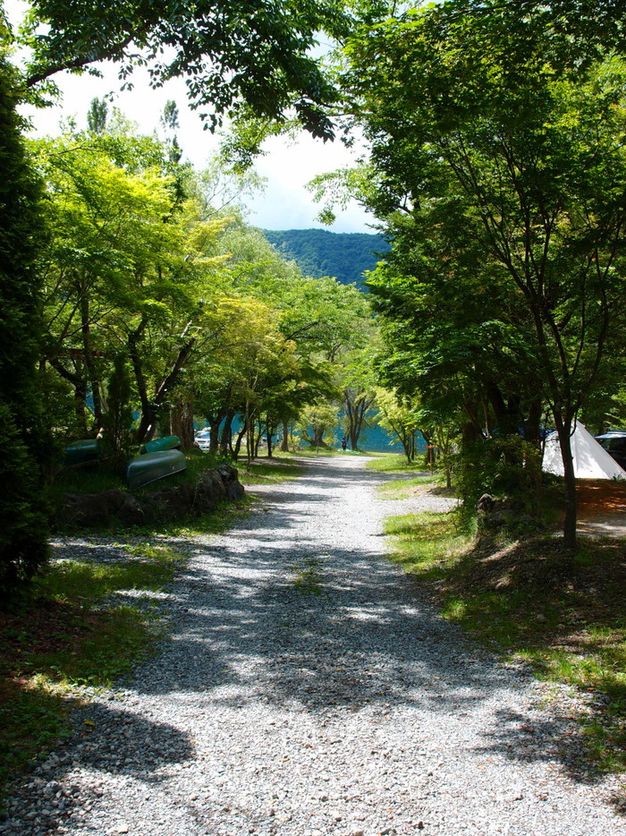 c0122670_2283452.jpg
