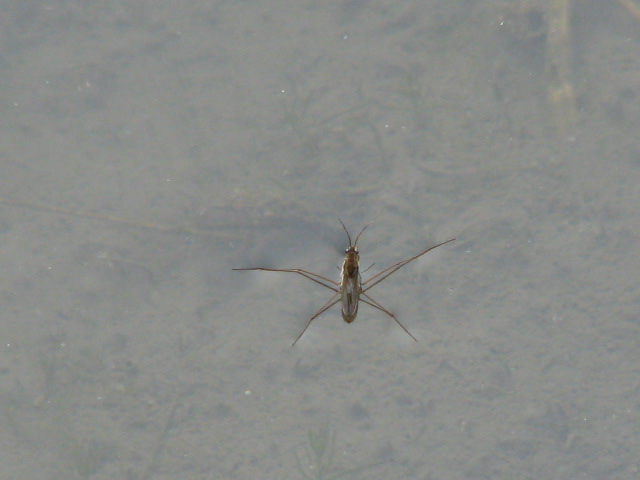 b0161073_17514761.jpg