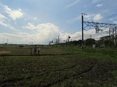 d0261484_16482933.jpg