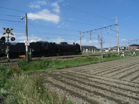 d0261484_16495841.jpg