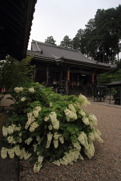 e0051888_3185475.jpg