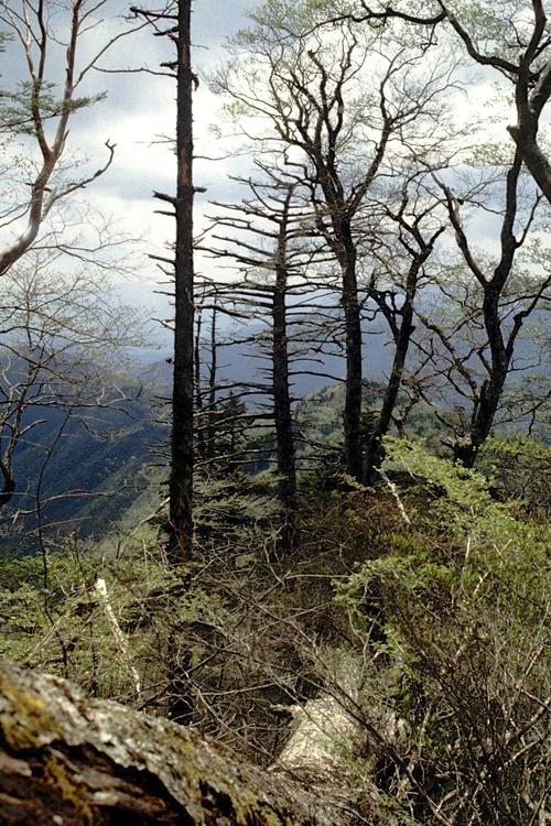 c0170789_1537251.jpg