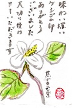 f0029393_456135.jpg