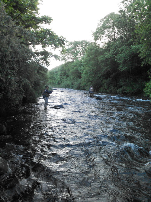 d0250395_13393433.jpg