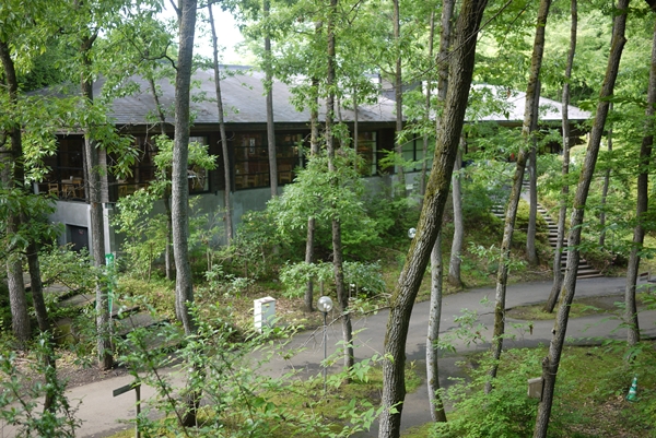 d0133704_14432329.jpg