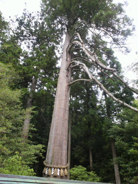 e0099212_18224269.jpg